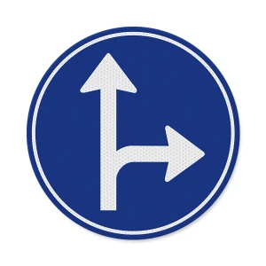 Verkeersbord D06r - Verplichte rijrichting rechts & rechtdoor