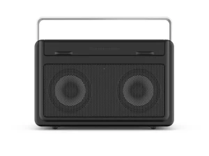 Bouwradio PerfectPro Audisse