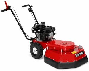 Tielbürger onkruidborstelmachine TW50 Briggs & Stratton