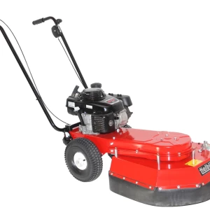 Tielbürger onkruidborstelmachine TW50 S Honda GXV160 industrie